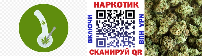 ГАШ Курчалой