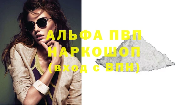 ПСИЛОЦИБИНОВЫЕ ГРИБЫ Белокуриха