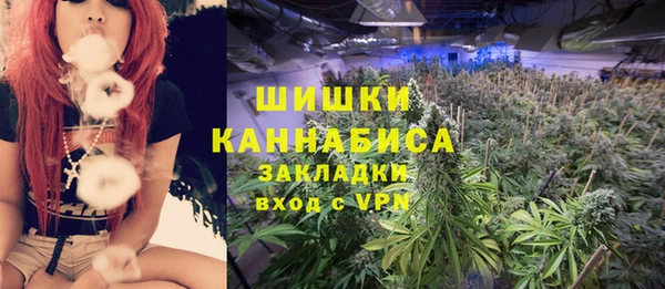ПСИЛОЦИБИНОВЫЕ ГРИБЫ Белокуриха