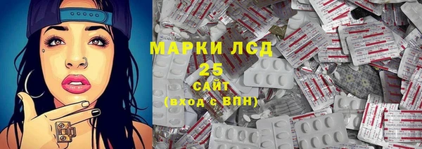 ПСИЛОЦИБИНОВЫЕ ГРИБЫ Белокуриха
