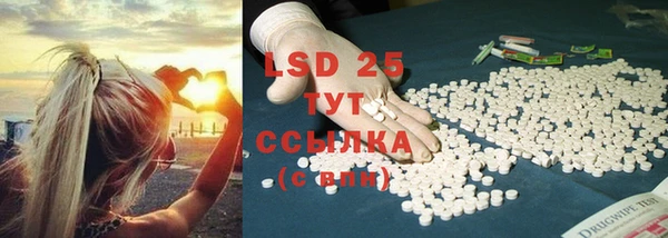 ПСИЛОЦИБИНОВЫЕ ГРИБЫ Белокуриха