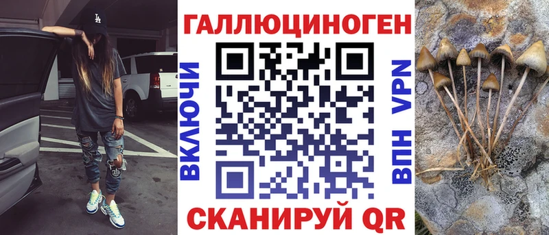 Псилоцибиновые грибы мицелий  даркнет сайт  Курчалой 